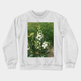 Laurel Flowers Crewneck Sweatshirt